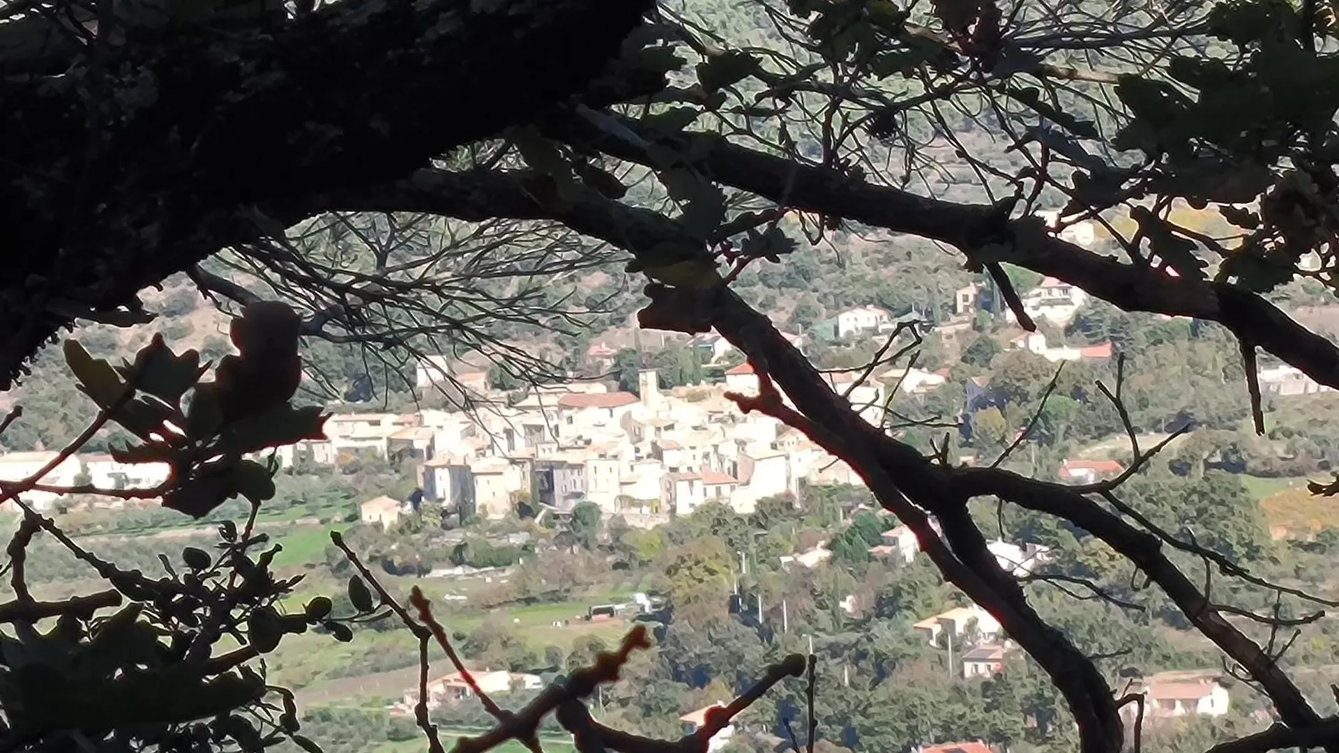 Guest house A L'Oree Des Oliviers Venterol