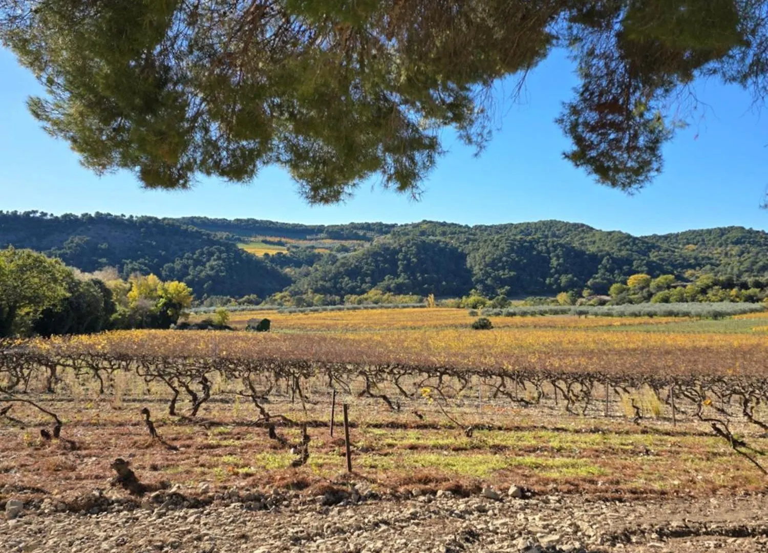 A L'Oree Des Oliviers Venterol  France